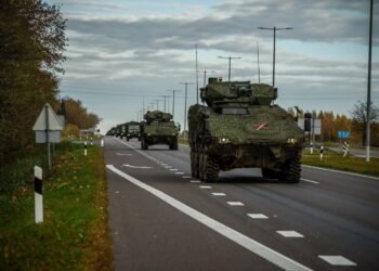 Lithuania, Poland and France will conduct training near the borders of Russia