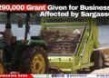 $290,000 Grant Given for Businesses Affected by Sargassum
