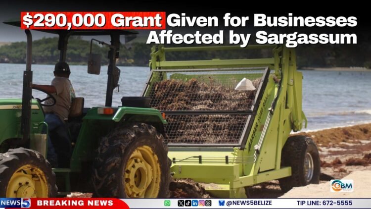 $290,000 Grant Given for Businesses Affected by Sargassum