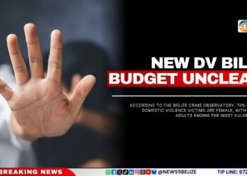 New DV Bill, Budget Unclear
