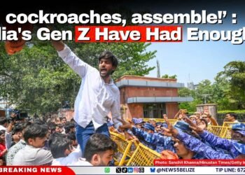 ‘All cockroaches, assemble!’ : India’s Gen Z Have Had Enough