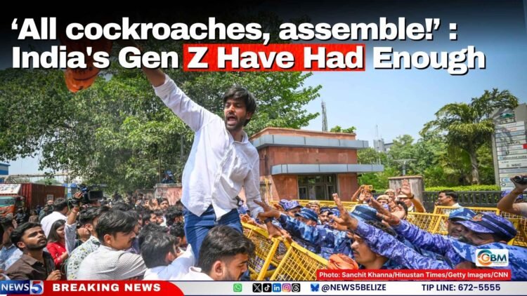 ‘All cockroaches, assemble!’ : India’s Gen Z Have Had Enough