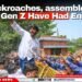 ‘All cockroaches, assemble!’ : India’s Gen Z Have Had Enough