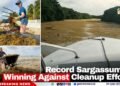 Record Sargassum Is Winning Against Cleanup Efforts