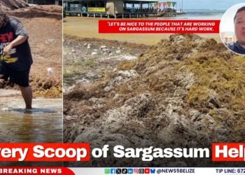 “Every Scoop of Sargassum Helps”
