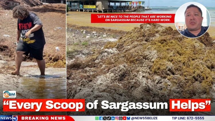 “Every Scoop of Sargassum Helps”
