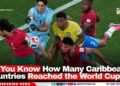 Do You Know How Many Caribbean Countries Reached the World Cup?