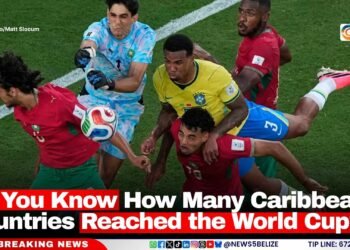 Do You Know How Many Caribbean Countries Reached the World Cup?