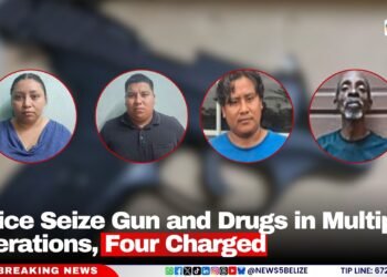 Police Seize Gun and Drugs in Multiple Operations, Four Charged