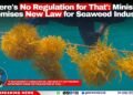 ‘There’s No Regulation for That’: Ministry Promises New Law for Seaweed Industry