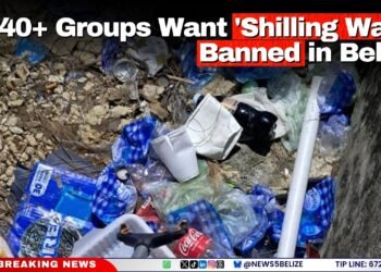 40+ Groups Want ‘Shilling Wata’ Banned in Belize