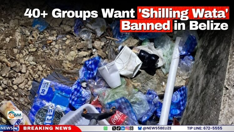 40+ Groups Want ‘Shilling Wata’ Banned in Belize