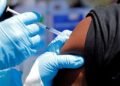 World Health: 3 vaccines are under development against the Ebola virus