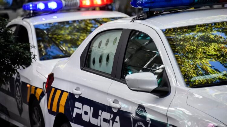 A woman was murdered by her partner, who committed suicide: they had a child together and there were no prior complaints