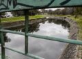 The Police investigate the discovery of the body of a man who was floating in the Miguelete stream