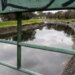 The Police investigate the discovery of the body of a man who was floating in the Miguelete stream