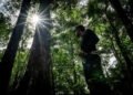 When science is rewriting Global South diplomacy – Academia