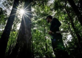 When science is rewriting Global South diplomacy – Academia
