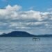 “Monkey Island” Sandbar Reappears in Lake Balaton as Water Levels Drop