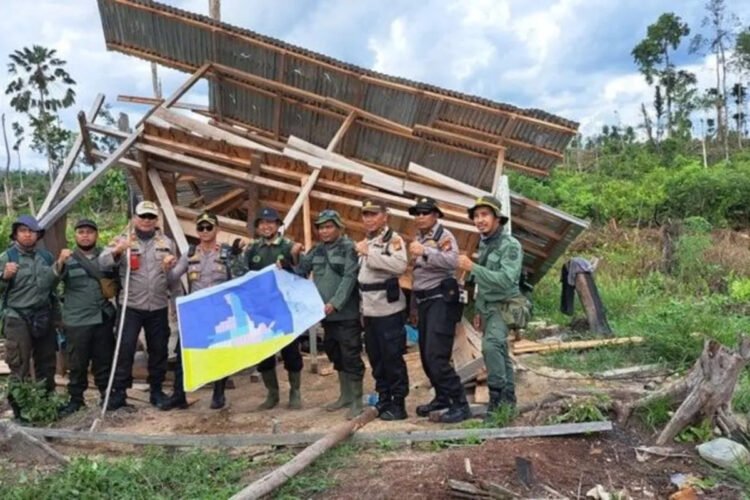 Six settlers in Tesso Nilo National Park sentenced to six months in prison – Archipelago