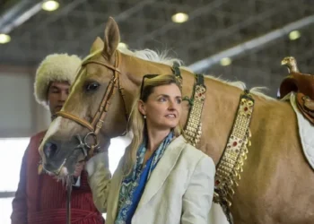 US Deputy Secretary of State Rogers arrived in Turkmenistan