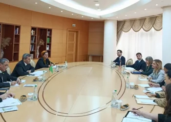 The head of Turkmenistan’s Foreign Ministry met with the US Deputy Secretary of State