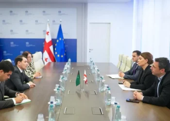 Turkmenistan and Georgia discussed prospects for increasing mutual trade volumes