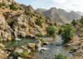 In Balkan velayat, a water supply will be laid from the “Egen ata” spring to the village of Gyzyl ymam