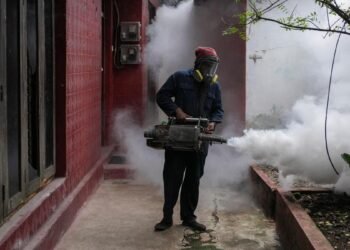Why is Sri Lanka’s dengue outbreak straining its public health sector? | Explained