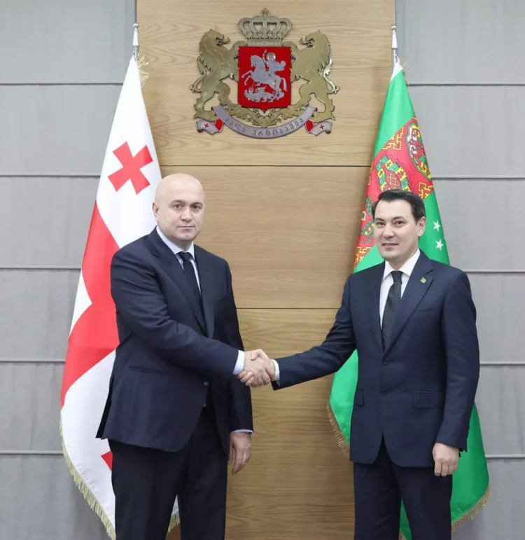 Meeting of Ambassador of Turkmenistan to Georgia with Minister of Internal Affairs of Georgia