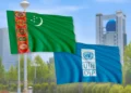 UNDP in Turkmenistan launched a Request for Quotation for software development