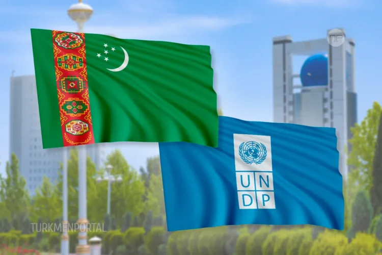 UNDP in Turkmenistan launched a Request for Quotation for software development