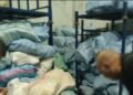 The truth about the seizure of dog meat in Giza.. Veterinary medicine reveals the details