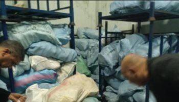 The truth about the seizure of dog meat in Giza.. Veterinary medicine reveals the details