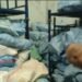 The truth about the seizure of dog meat in Giza.. Veterinary medicine reveals the details