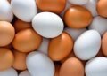 The price of an egg is 3 pounds.. Egg prices in Kafr El-Sheikh today, Wednesday, June 3, 2026