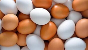 The price of an egg is 3 pounds.. Egg prices in Kafr El-Sheikh today, Wednesday, June 3, 2026