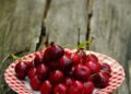 Cherries produced better this year, prices are significantly lower than last year