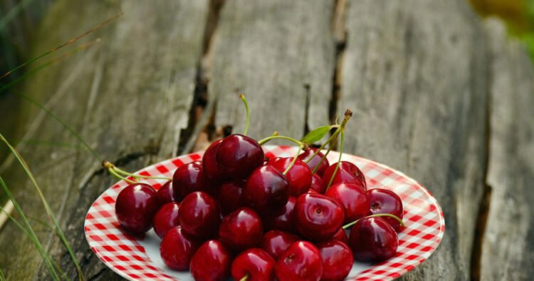 Cherries produced better this year, prices are significantly lower than last year