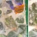 Incredible smuggling attempt: He hid more than 60 reptiles under his clothes