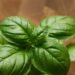 Mosquitoes cannot tolerate these three plants