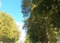 Krfska Street in Banja Luka marked its four decades of existence