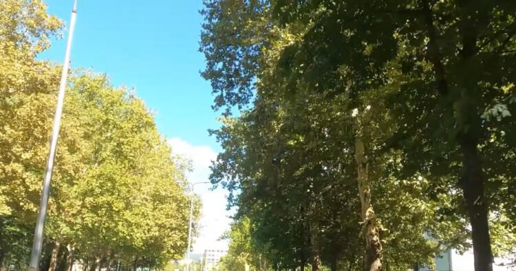 Krfska Street in Banja Luka marked its four decades of existence