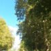 Krfska Street in Banja Luka marked its four decades of existence