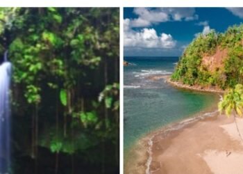 DDA launches ‘Summer the Nature Island Way’ initiative to showcase diverse visitor experiences