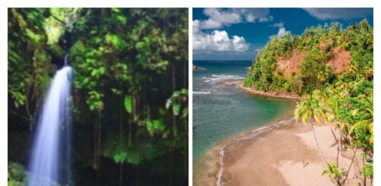 DDA launches ‘Summer the Nature Island Way’ initiative to showcase diverse visitor experiences