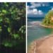 DDA launches ‘Summer the Nature Island Way’ initiative to showcase diverse visitor experiences