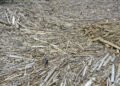Uncleared debris from Sumatra floods triggers wildfire in Aceh – Archipelago