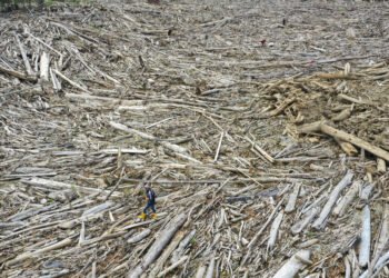 Uncleared debris from Sumatra floods triggers wildfire in Aceh – Archipelago
