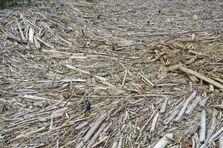 Uncleared debris from Sumatra floods triggers wildfire in Aceh – Archipelago